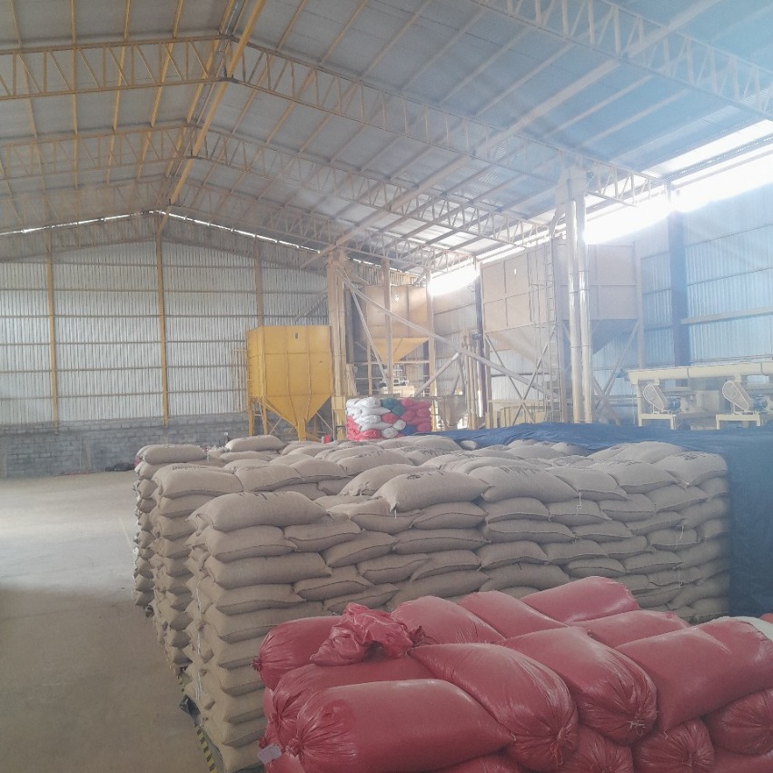 comercializacion3